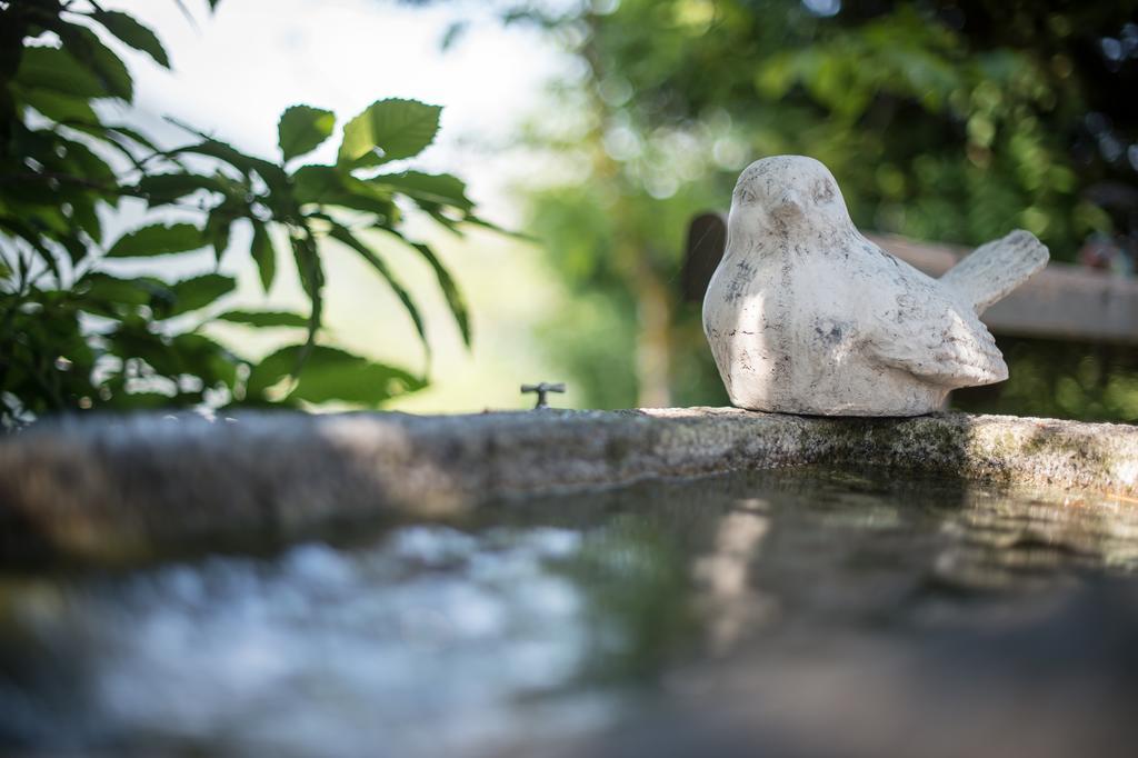 Ferienwohnungen Sumperer Pill Exteriér fotografie